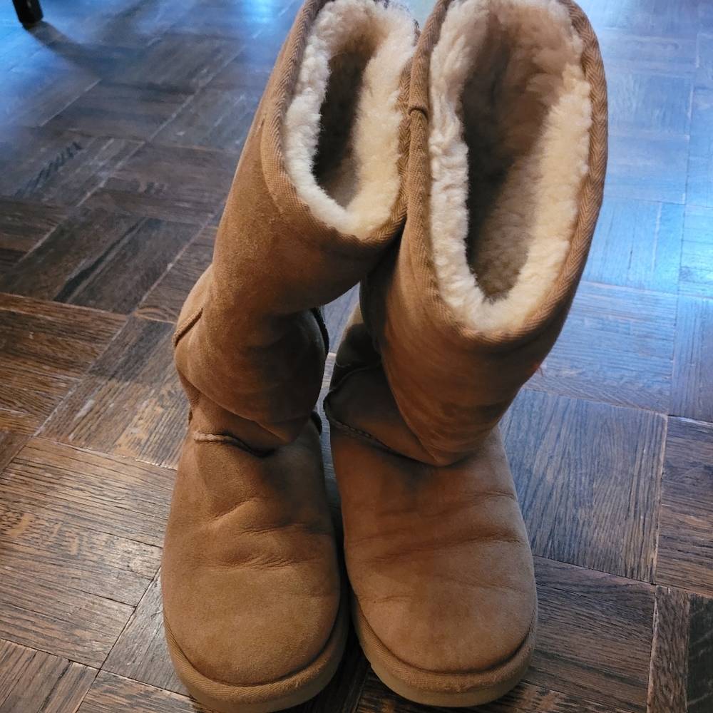 Ladies Ugg boots (tall)
